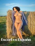 Putas economicas en Freire en 